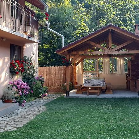 Casa Iulia & Matei Villa คือร์ตีโชอารา ภายนอก รูปภาพ