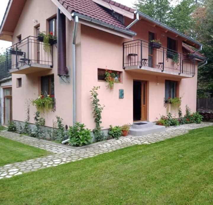 Casa Iulia & Matei Villa คือร์ตีโชอารา ภายนอก รูปภาพ