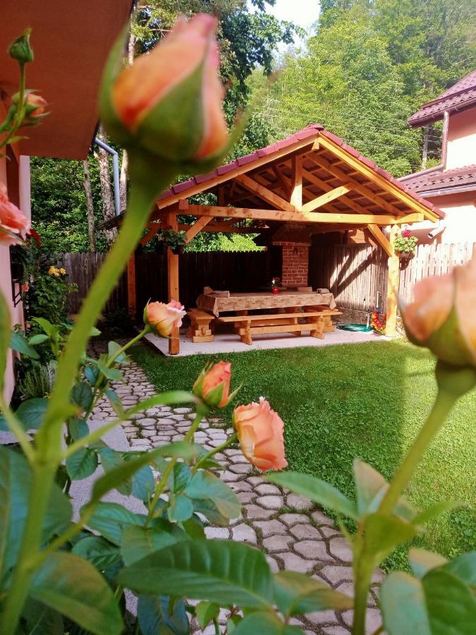 Casa Iulia & Matei Villa คือร์ตีโชอารา ภายนอก รูปภาพ