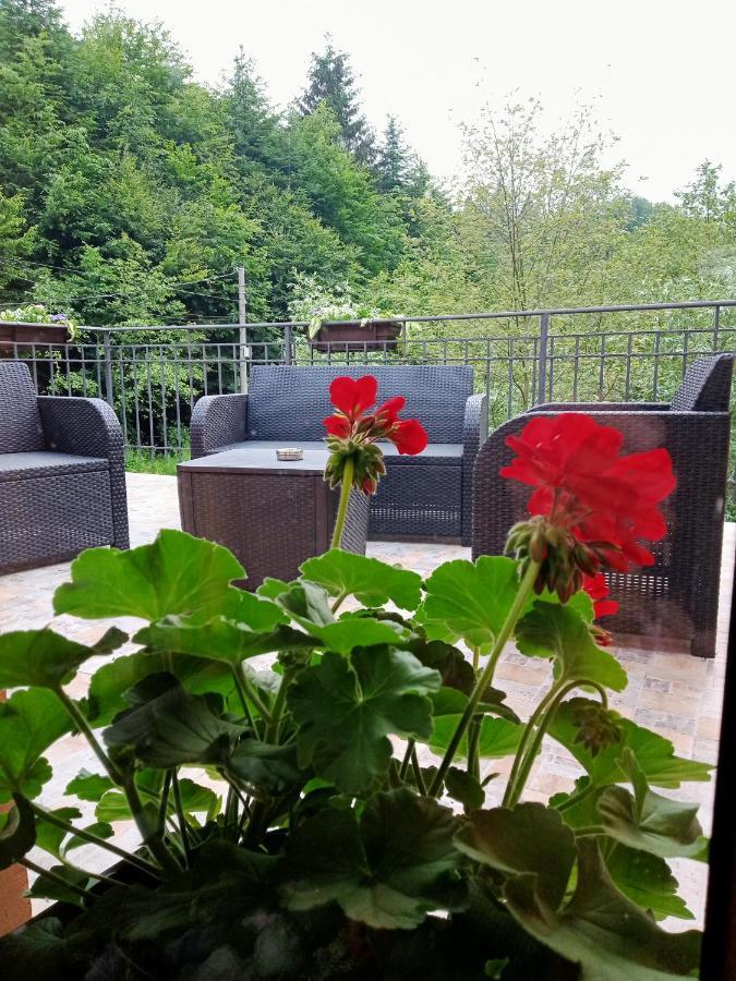 Casa Iulia & Matei Villa คือร์ตีโชอารา ภายนอก รูปภาพ