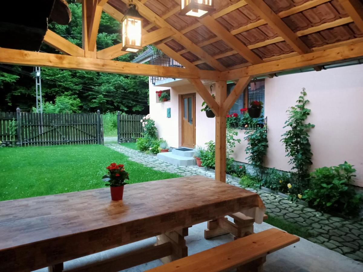 Casa Iulia & Matei Villa คือร์ตีโชอารา ภายนอก รูปภาพ