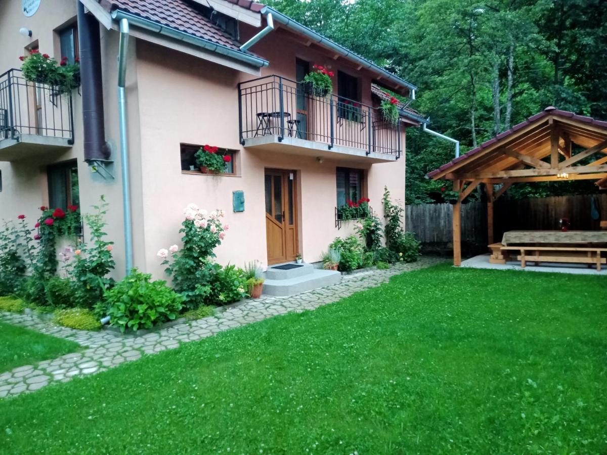 Casa Iulia & Matei Villa คือร์ตีโชอารา ภายนอก รูปภาพ