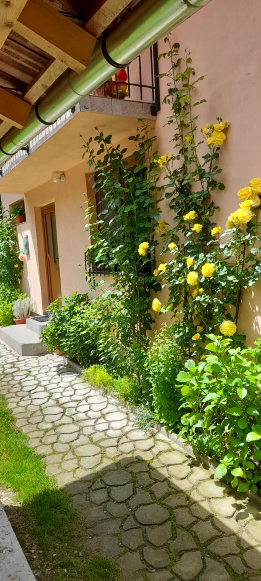 Casa Iulia & Matei Villa คือร์ตีโชอารา ภายนอก รูปภาพ